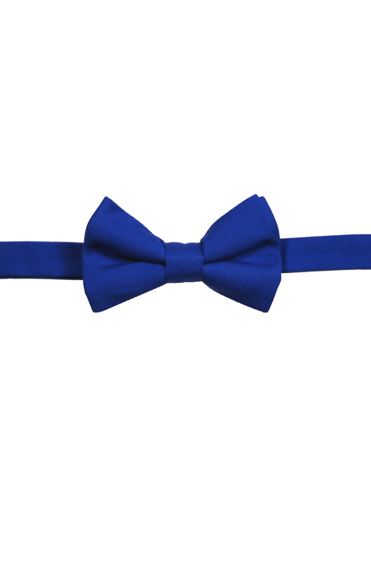 Blue Generation Teflon Treated Twill Bow Tie