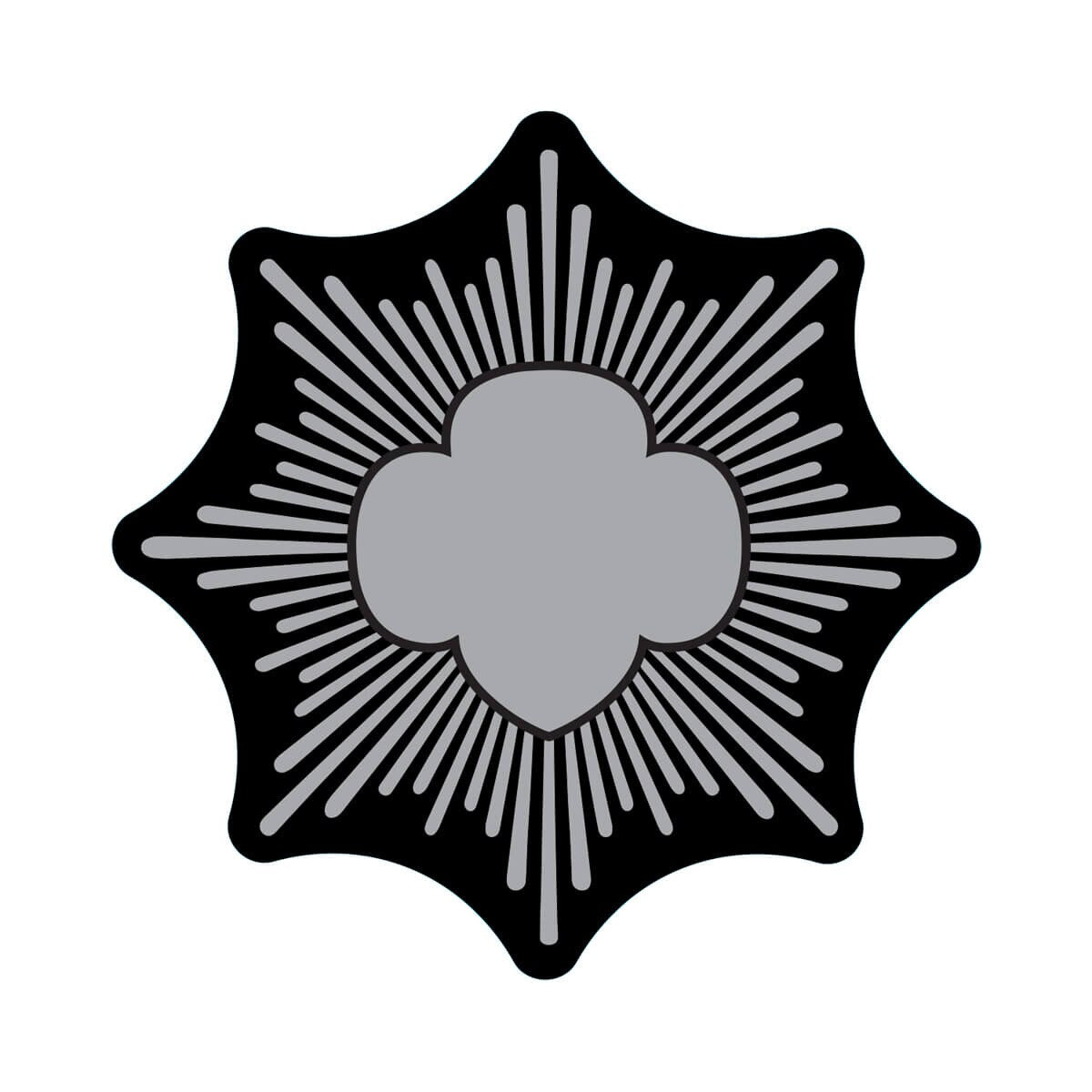 Silver Award Water Bottle Decal