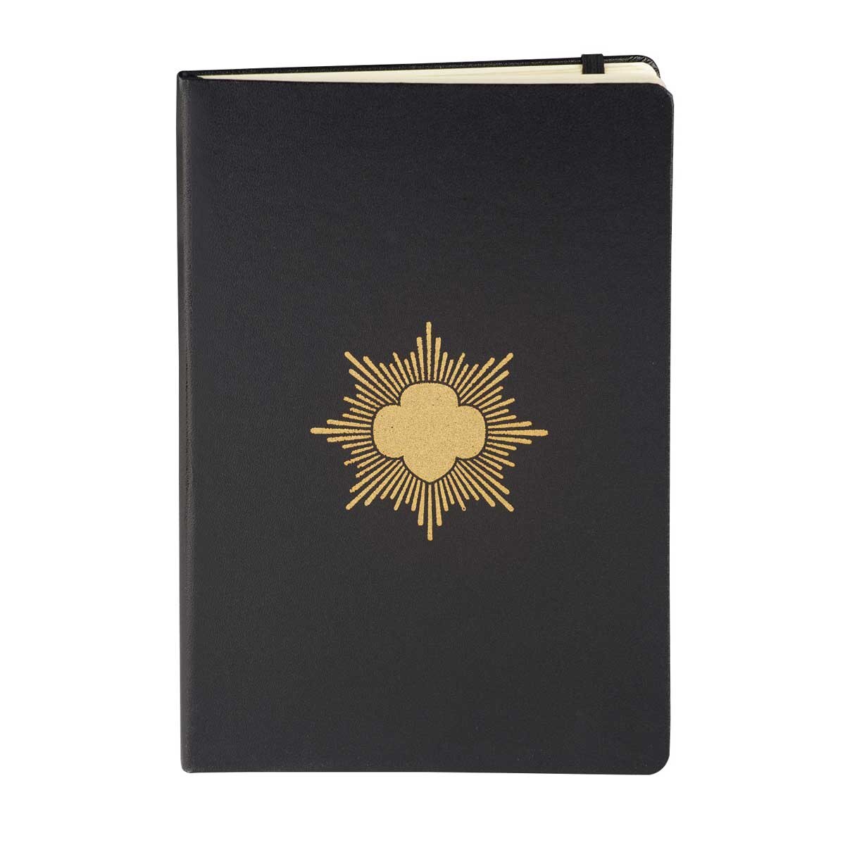 Gold Award Journal