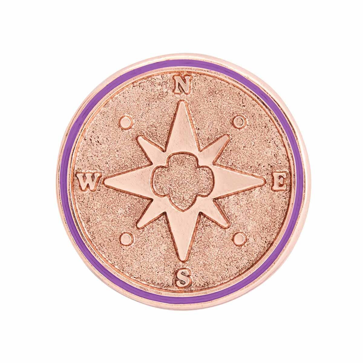 Junior True North Award Pin