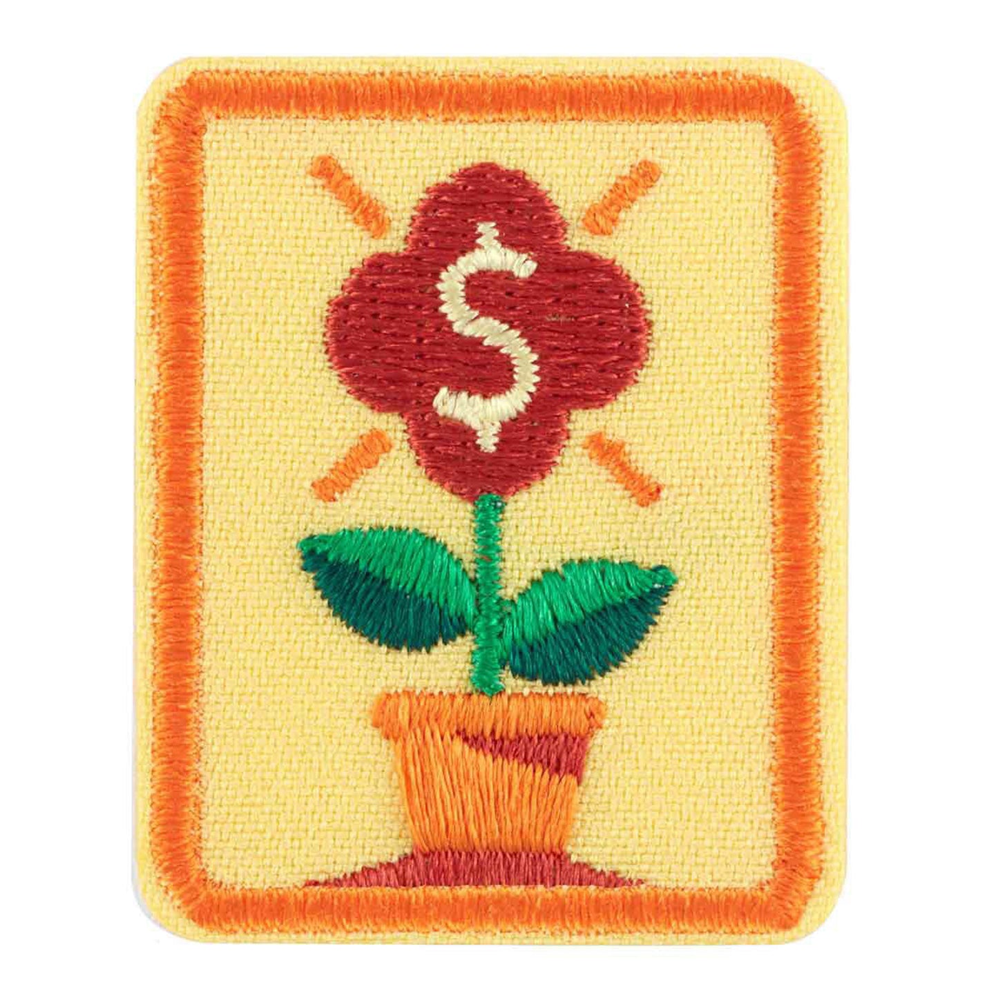 Girl Scouts Senior Savvy Saver Badge
