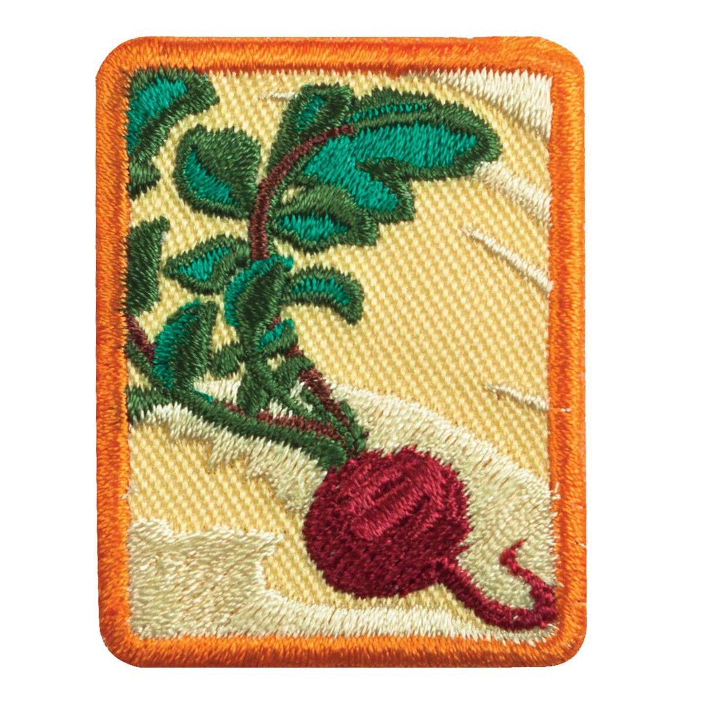 Girl Scouts Senior Locavore Badge