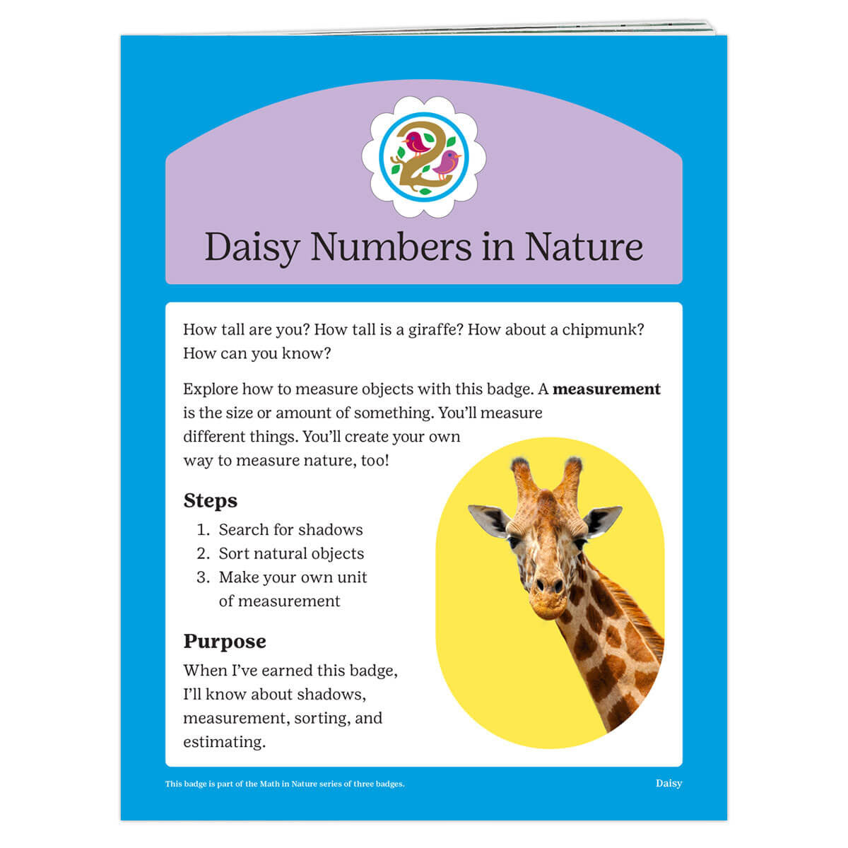 Daisy Numbers in Nature Badge Requirements
