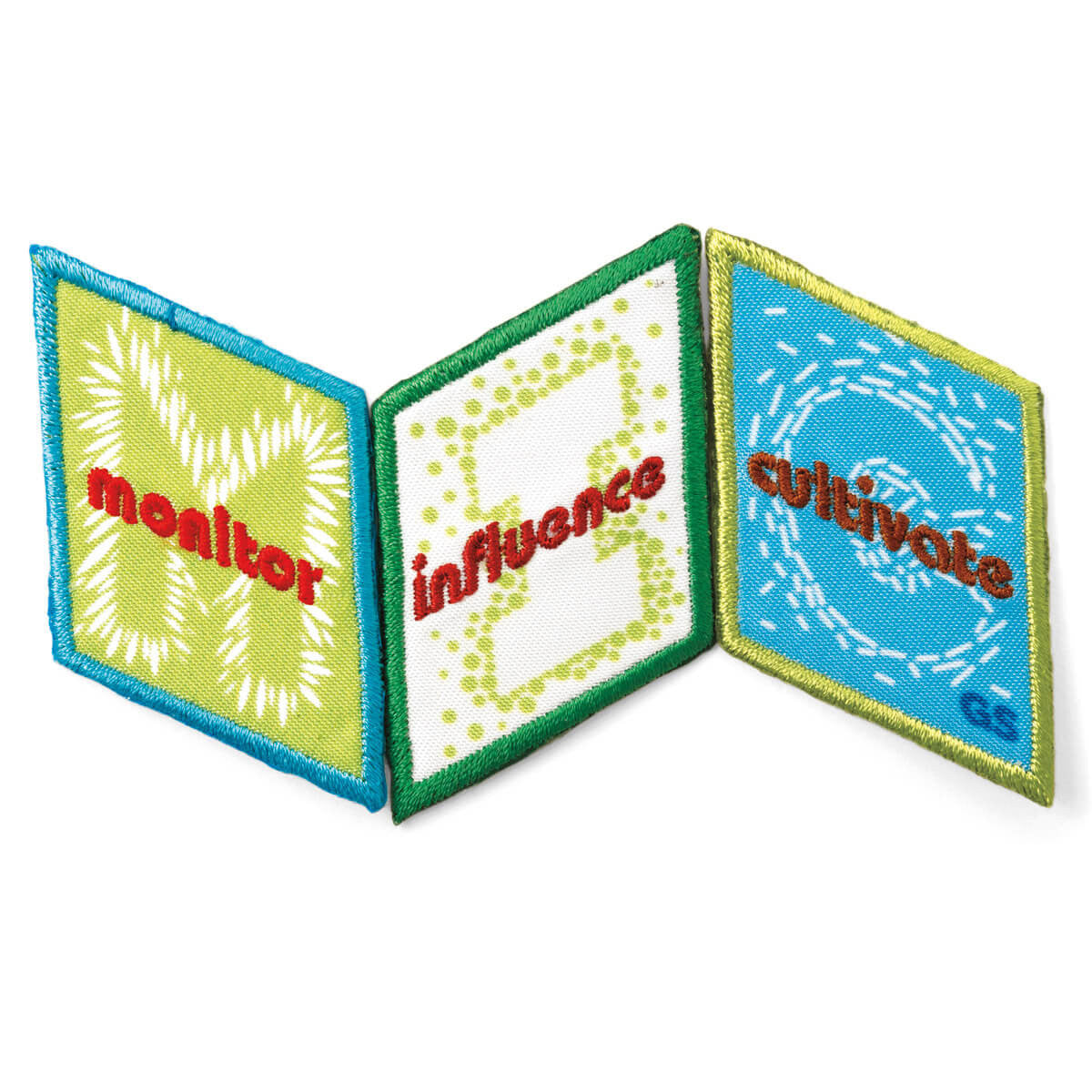 Girl Scouts MEdia Cadette Journey Award Set