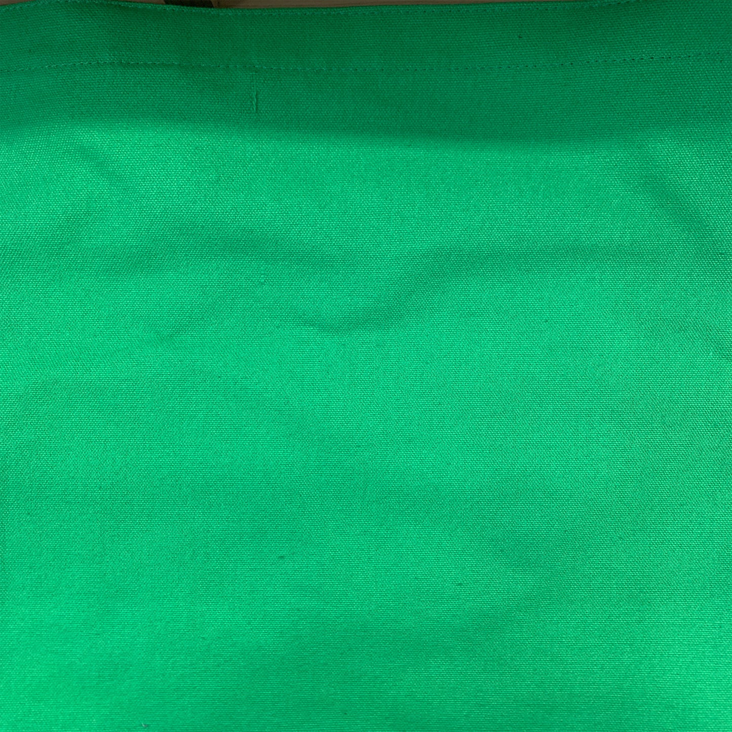 Girl Scouts 2014 Convention Tote Bag