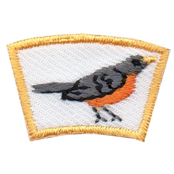 Robin Segment Patch