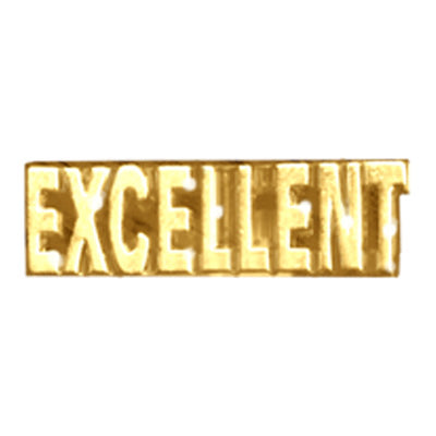 Excellent (Text) Pin