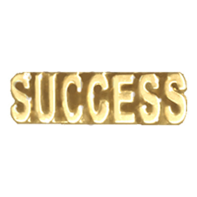 Success - Text Pin