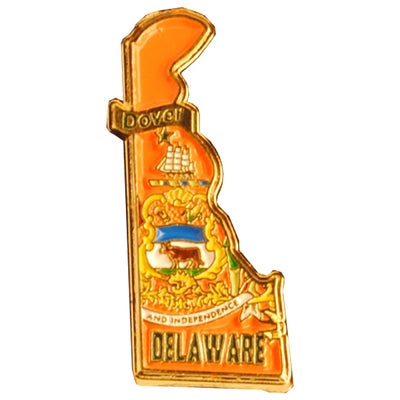 Delaware Pin