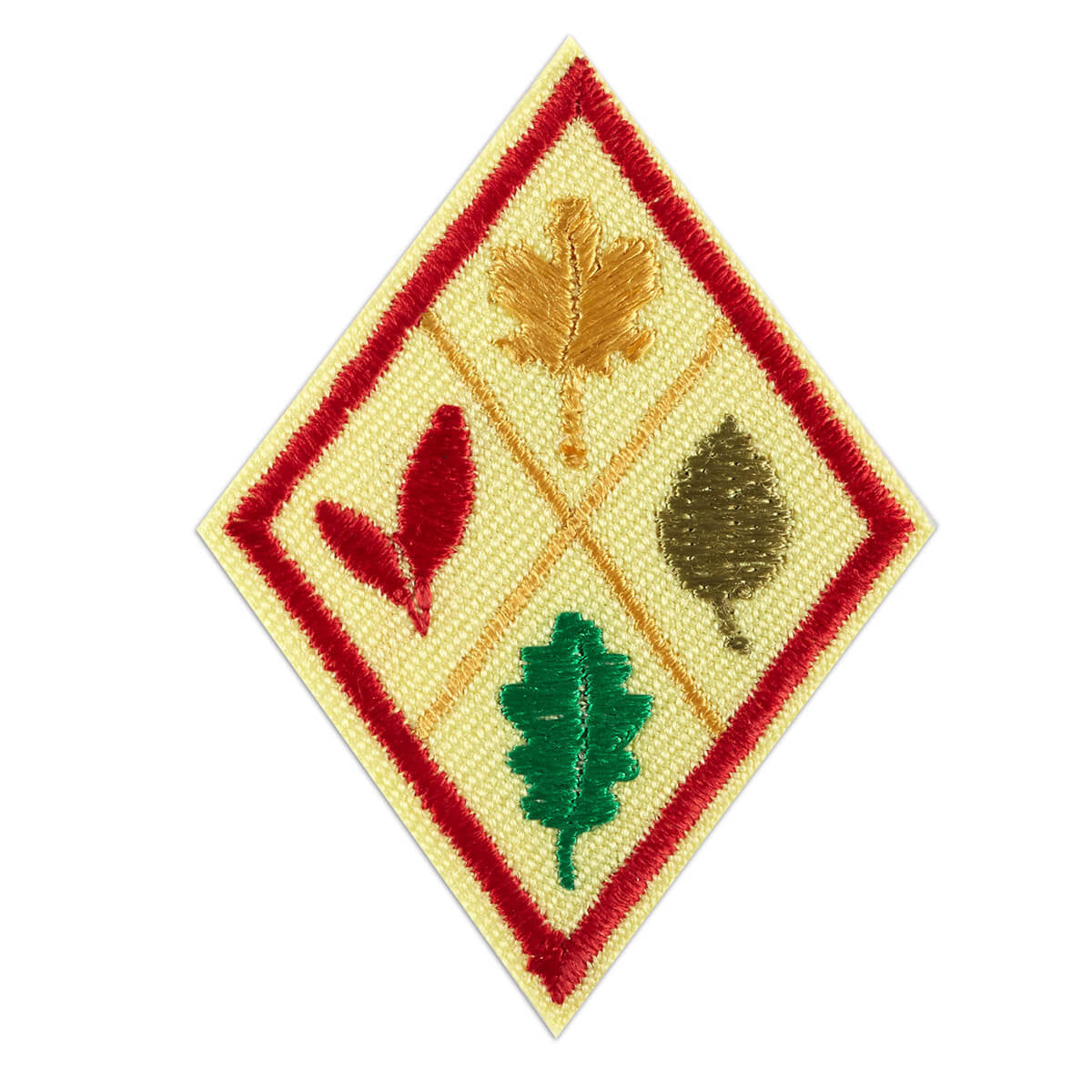 Girl Scouts Cadette Think Like A Citizen Scientist Award Badge - basicsclothing