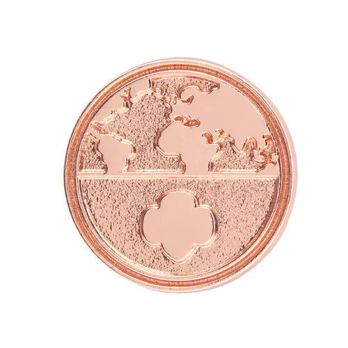 Global Action Award Pin
