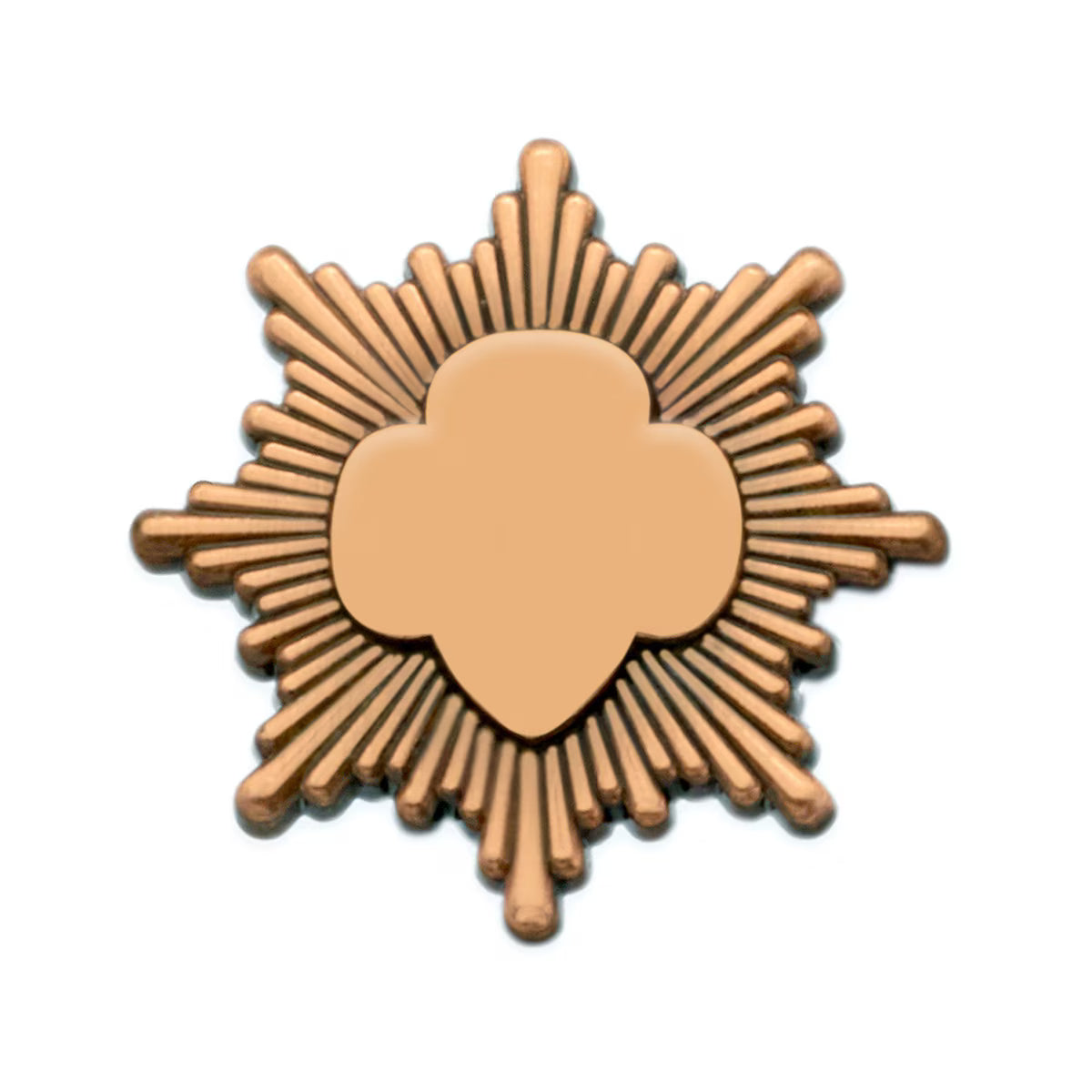Bronze Award Pin – Basics Clothing Store