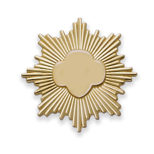 Gold Award Pin - Gold-Filled