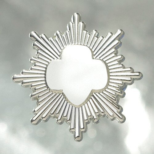 Silver Award Pin - Silver-Plated