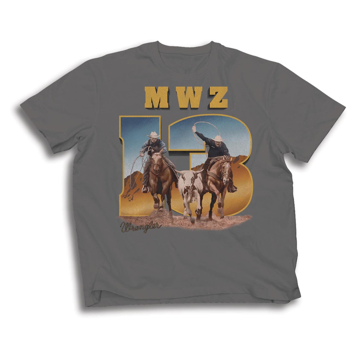 Wrangler® Men's Short Sleeve T-Shirt - Regular Fit