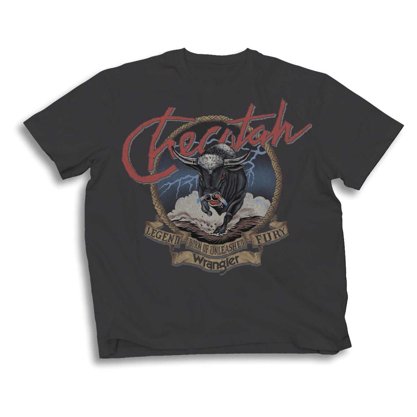 Wrangler® Men's Short Sleeve T-Shirt - Regular Fit