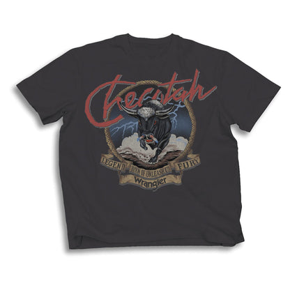 Wrangler® Men's Short Sleeve T-Shirt - Regular Fit