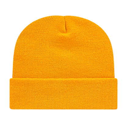 Blue Generation  Knit Cap with Cuff-BG1524C