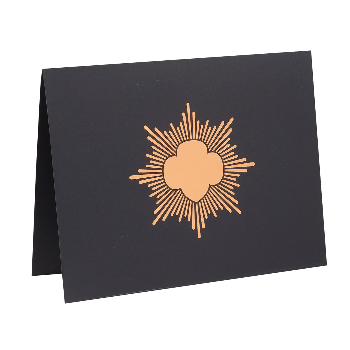 Bronze Award Certificate Holder Pkg. of 12