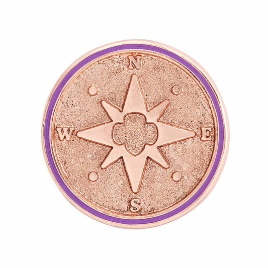 Junior True North Award Pin