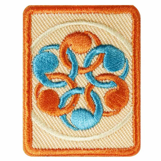 Girl Scouts Senior Social Innovator Badge