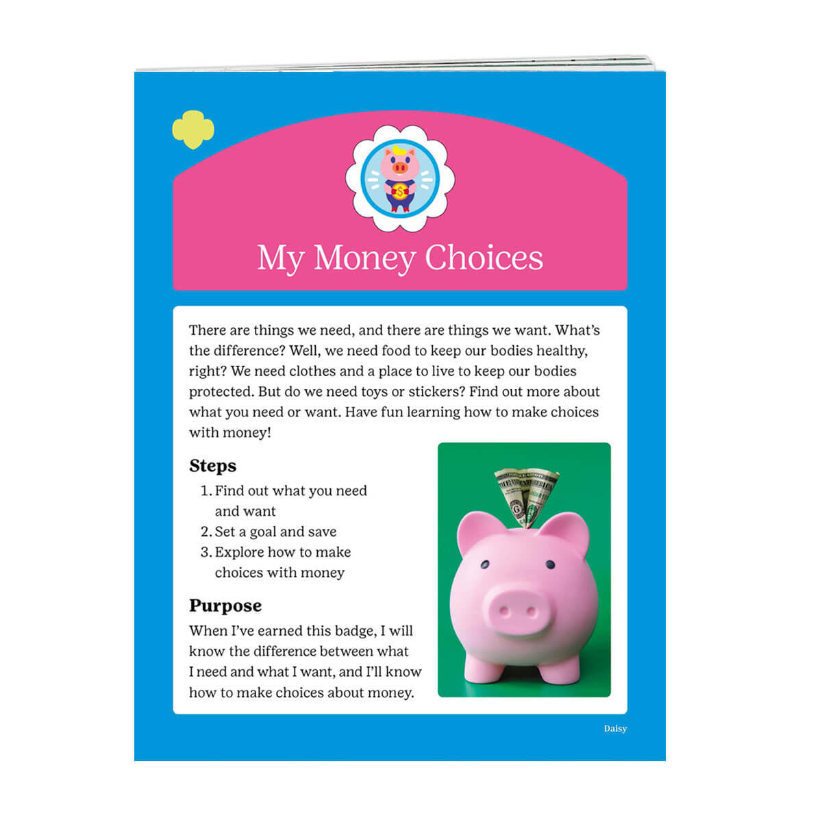 Daisy My Money Choices Badge Requirements