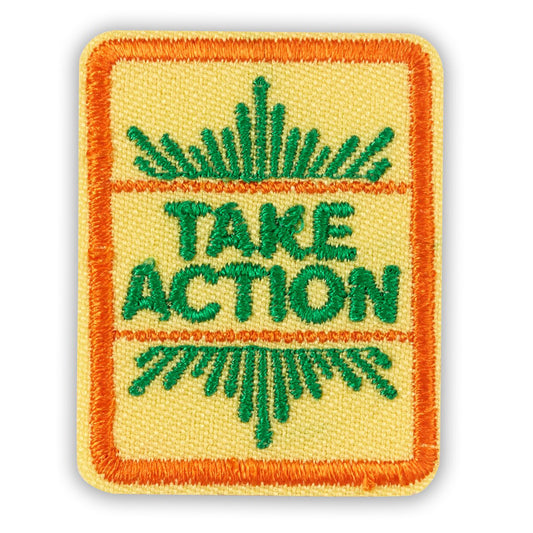 Girl Scouts Senior Take Action Award Badge