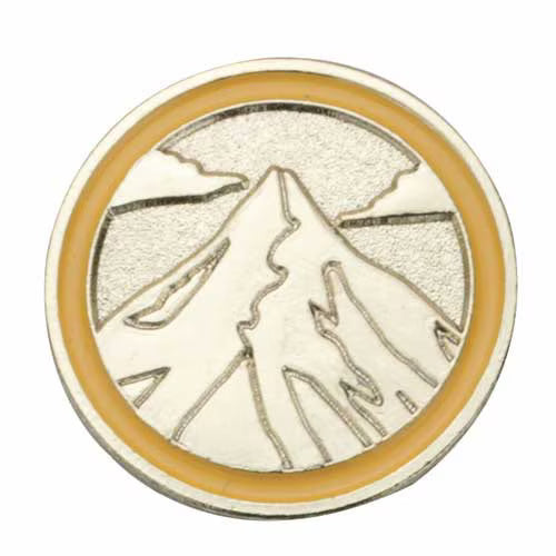Ambassador Journey Summit Award Pin – Basics Clothing Store