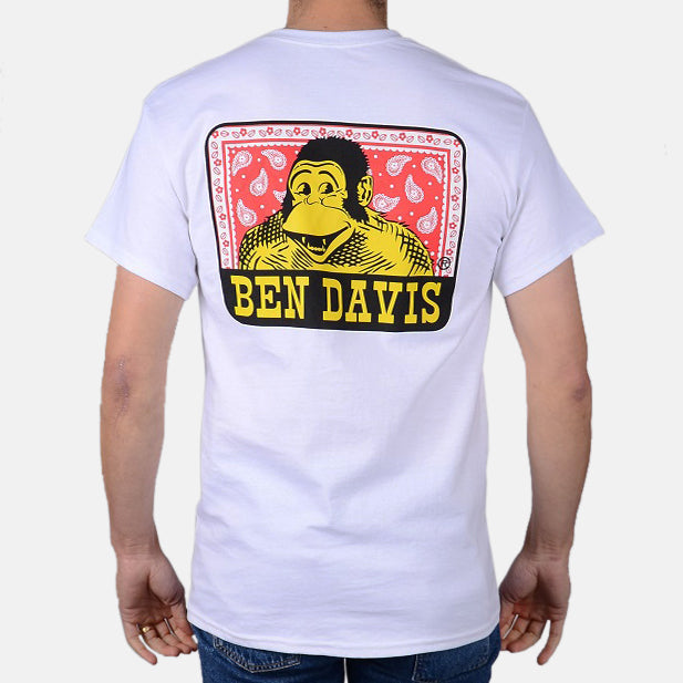 Ben Davis Paisley Logo T-Shirts