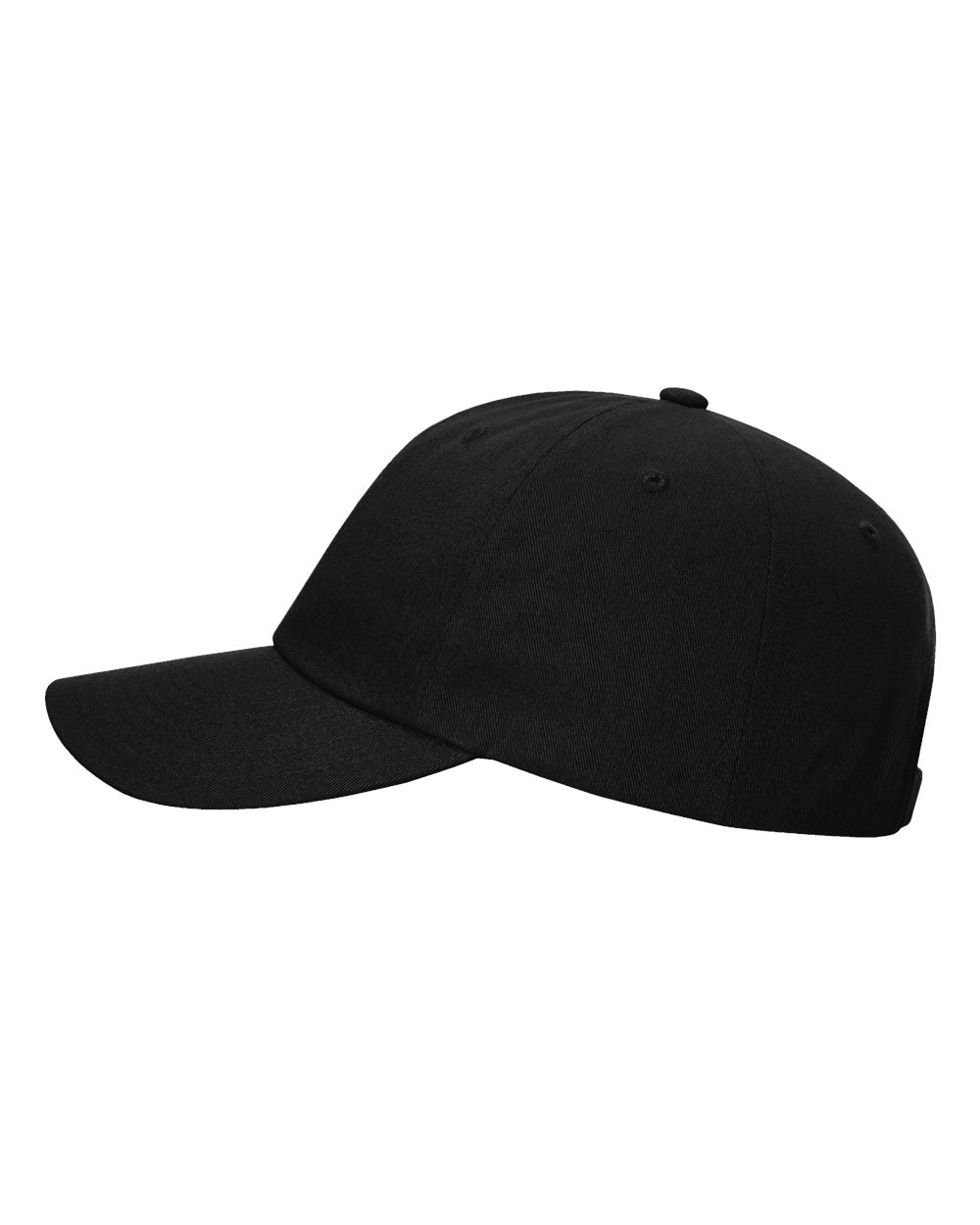 Richardson - Sustainable Ashland Dad Hat - 254RE