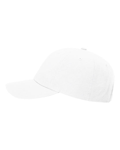 Richardson - Sustainable Ashland Dad Hat - 254RE