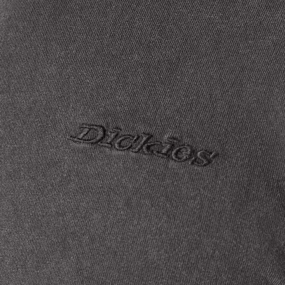 Dickies MENS PLENTYWOOD L/S TEE - A866C