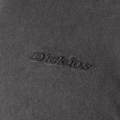 Dickies MENS PLENTYWOOD L/S TEE - A866C