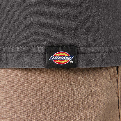 Dickies MENS PLENTYWOOD L/S TEE - A866C