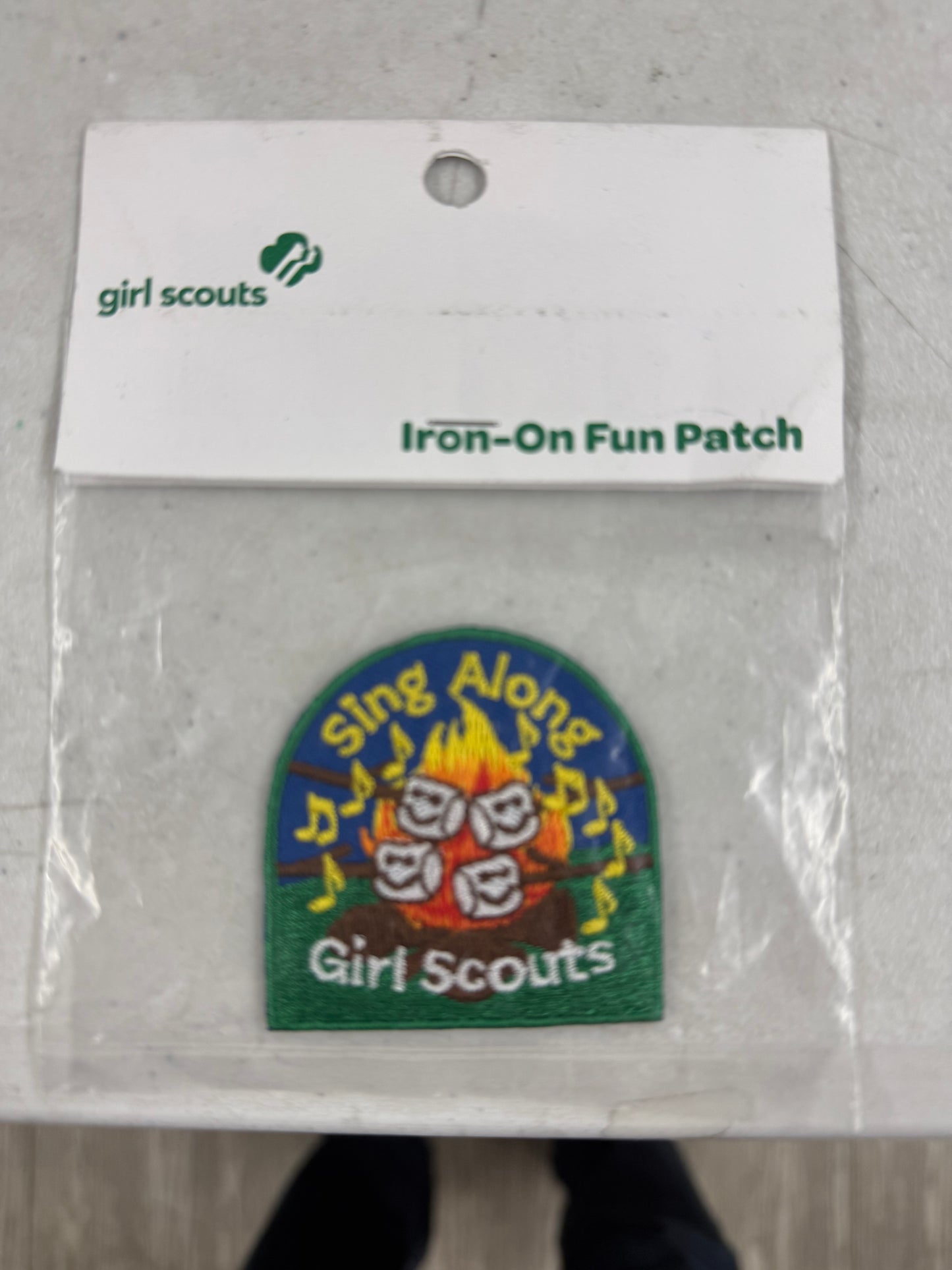 Girl Scout Sing Along - Discontinued