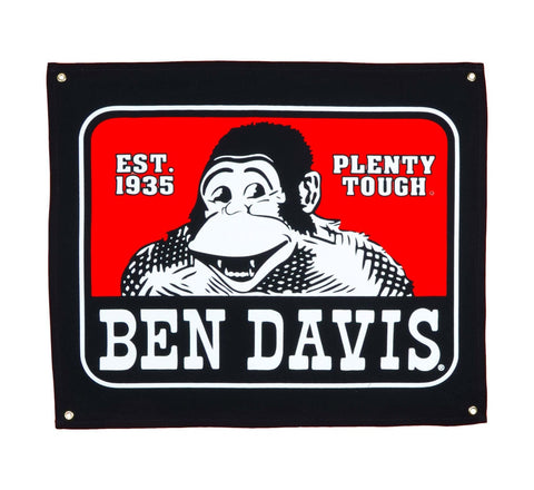 Ben Davis Classic Logo Banner