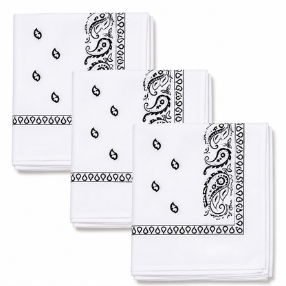 Levi’s 3-Piece Paisley Bandana Set – 100% Cotton