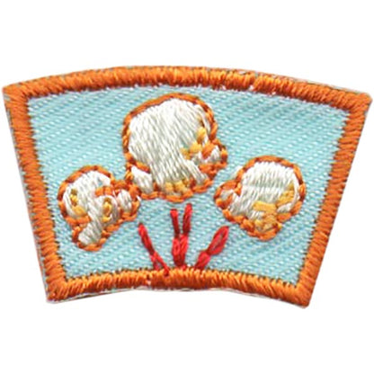 Popcorn Segment Patch - 0105