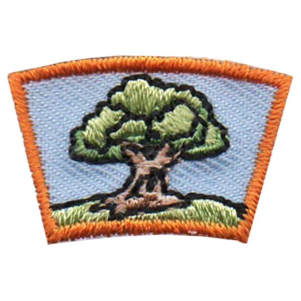 Oak Tree Segment Patch
