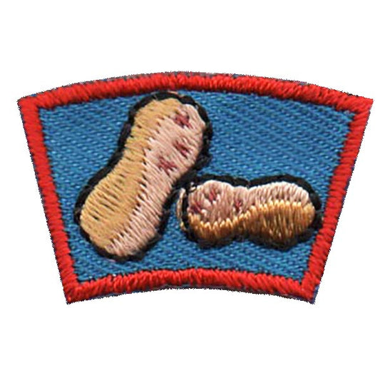 Peanuts Segment Patch - 0181