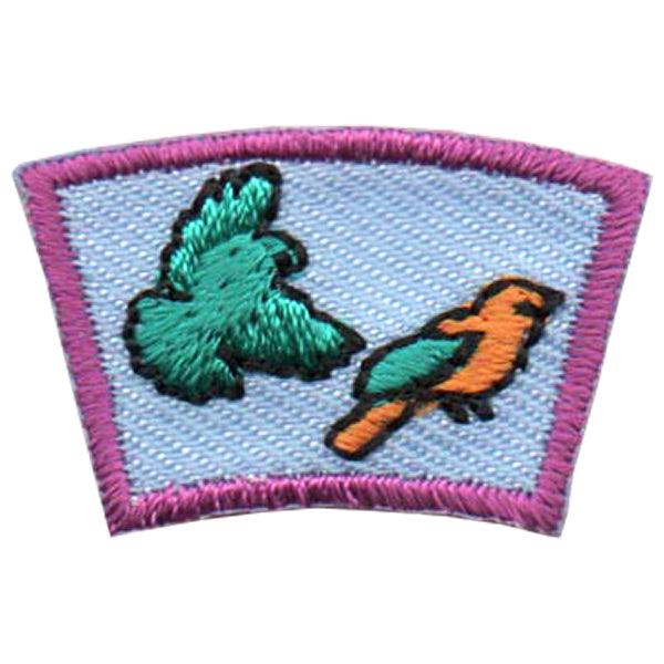Birds Segment Patch