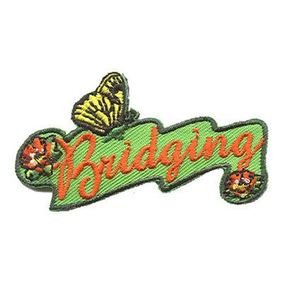 12 Pieces-Bridging Patch-Free shipping