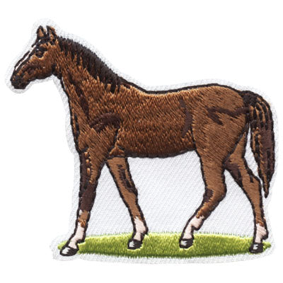 12 Pieces - Horse Patch - Free Shipping
