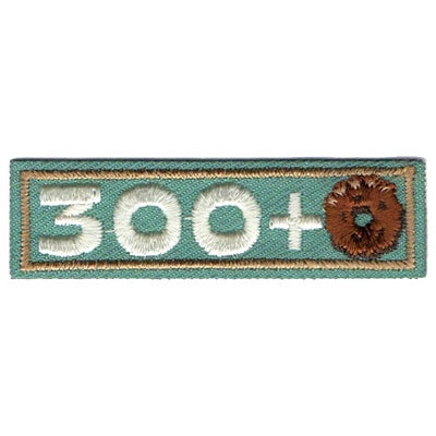 300+ Patch