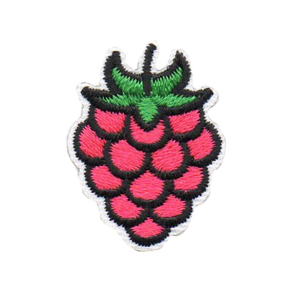 Raspberry Segment Patch