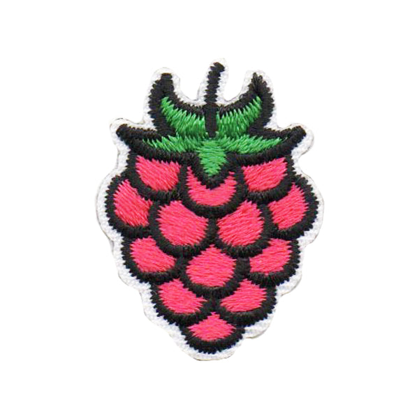 Raspberry Segment Patch - Basics Clothing Store