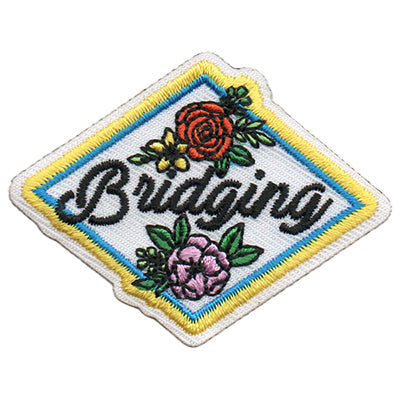 12 Pieces-Bridging Patch-Free shipping