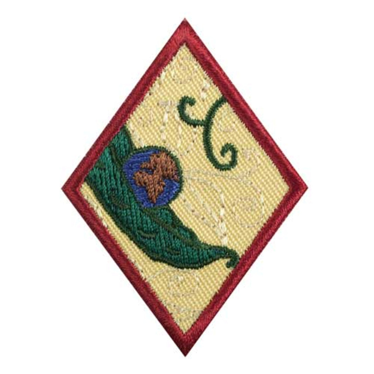 Girl Scouts Cadette New Cuisines Badge - basicsclothing