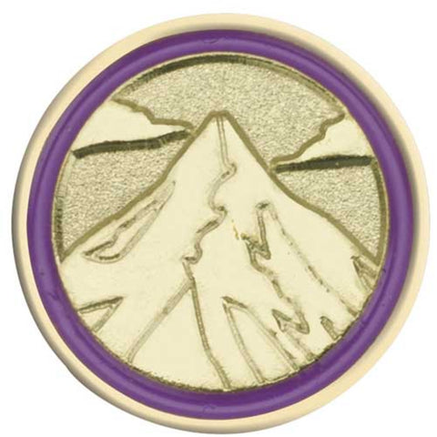 Girl Scouts Junior Journey Summit Award Pin - basicsclothing